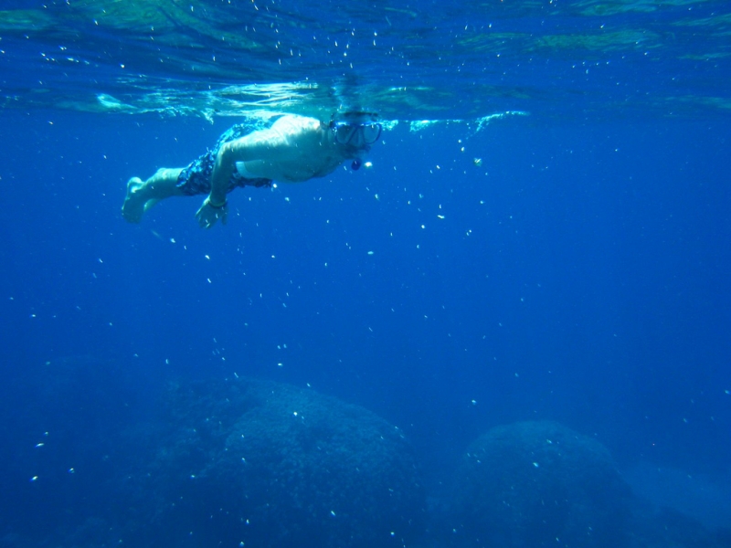 Snorkelling at Tiran Island