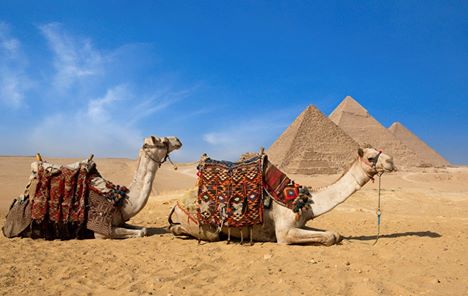 Camel ride trip at the Open desert of Giza Pyramids 